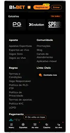 b1bet metodos de pagamento
